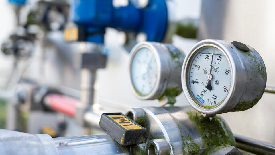 Фото: © Global Look Press/Christophe Gateau/dpa