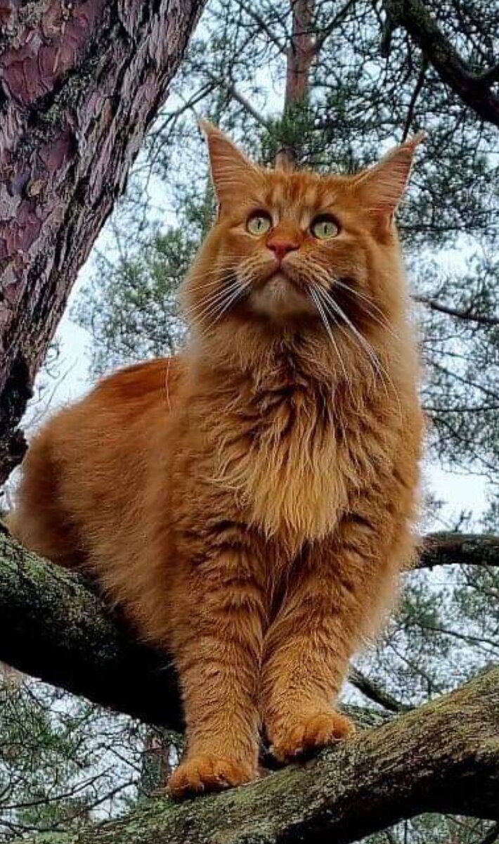 Фото из личного архива, привет из солнечной Швеции