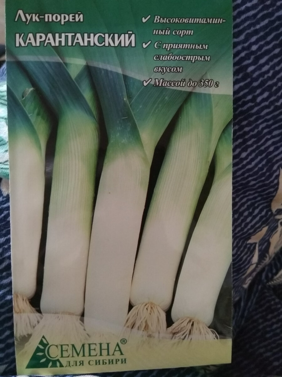 Фото автора. Семена есть, дело за малым