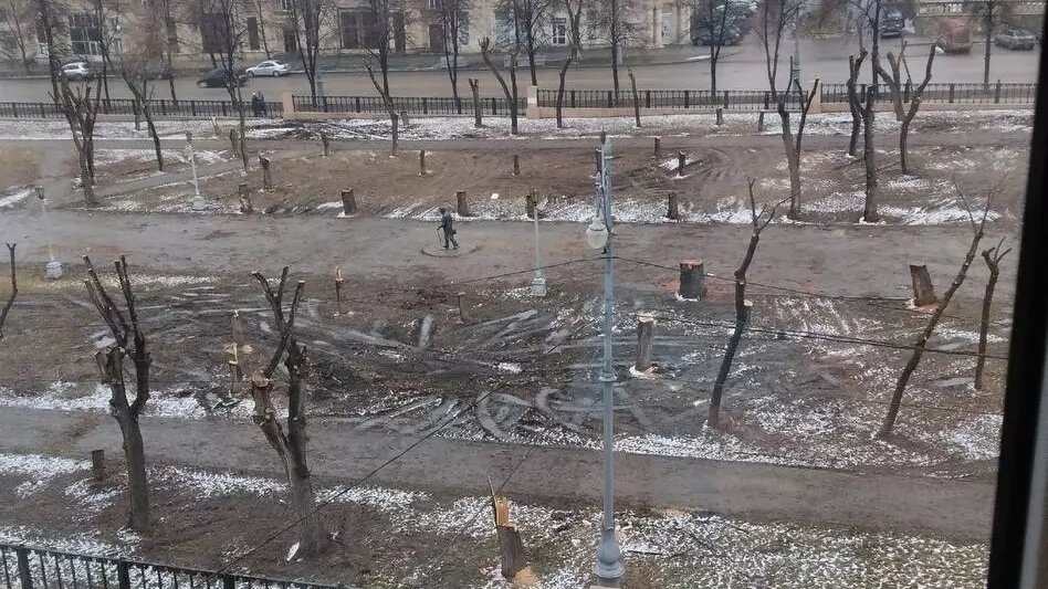     В магнитогорском сквере Металлургов вырубают деревья — местные жители, мягко говоря, не в восторге от этого решения, о чем они и сообщают в соцсетях.