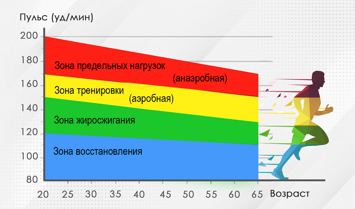 Пульсовой коридор для жиросжигания