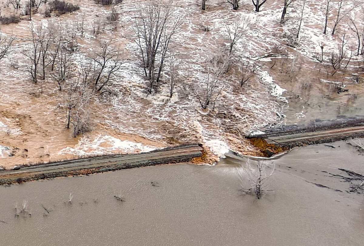Егор Алеев/ТАСС