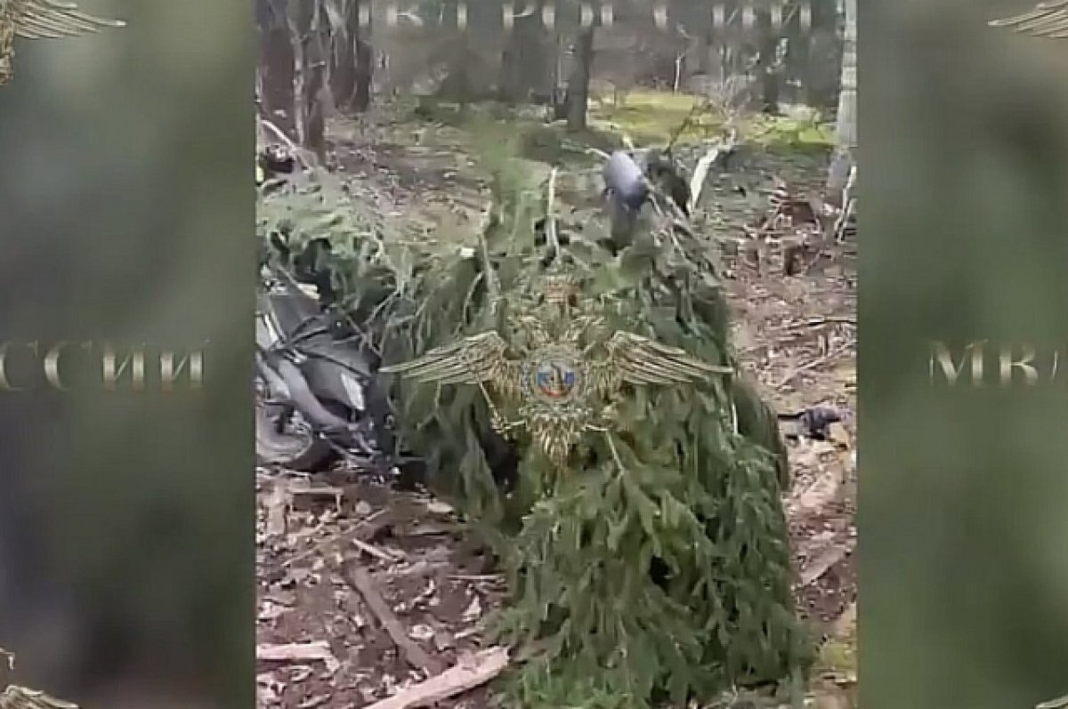    Мотоцикл подозреваемого в убийстве найден в лесу Тверской области