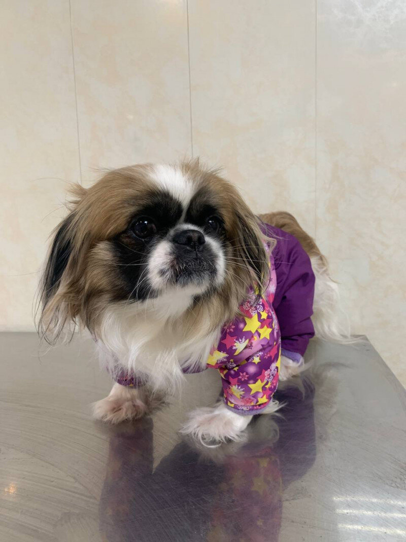 Листайте вправо, чтобы увидеть больше изображений