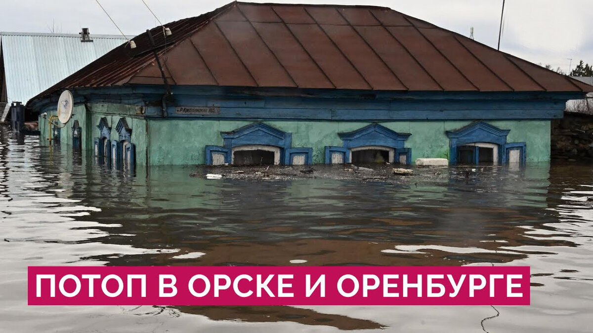 Как сохранить рассудок во время потопа | Виктор Вольтер | Дзен