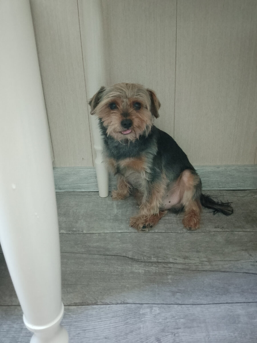 Вот эта гадючая прелесть, которую хочется убить. 