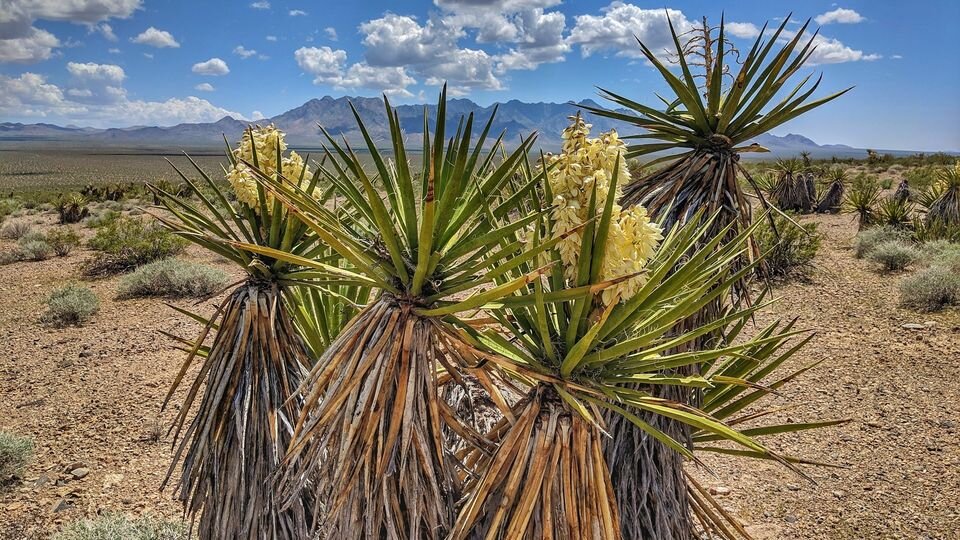 Еще больше интересного в нашем Telegram-канале! https://t.me/grand_prix_pet_food