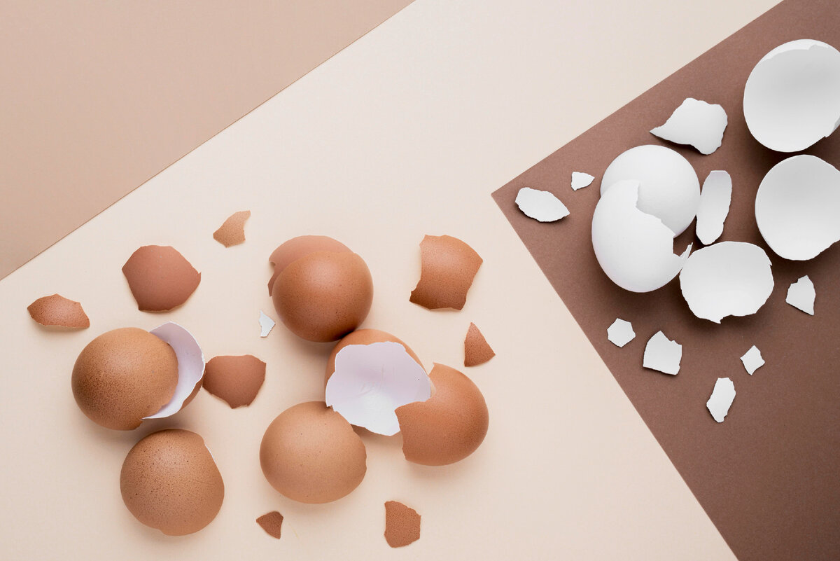 Не торопитесь отправлять яичную скорлупу в мусорное ведро!