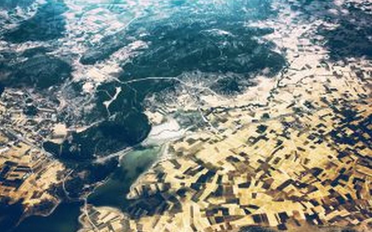 Фото: Россельхознадзора 