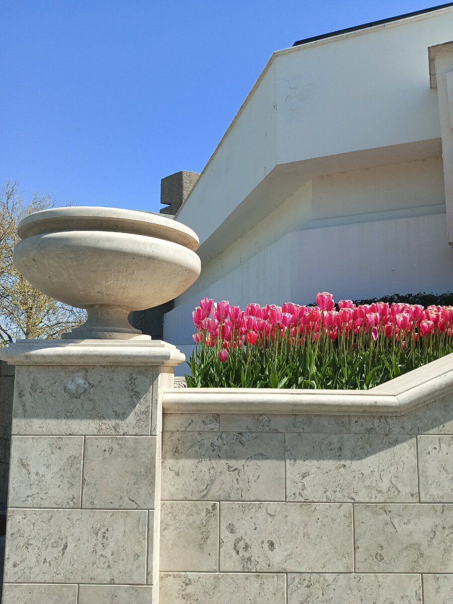 Центр города