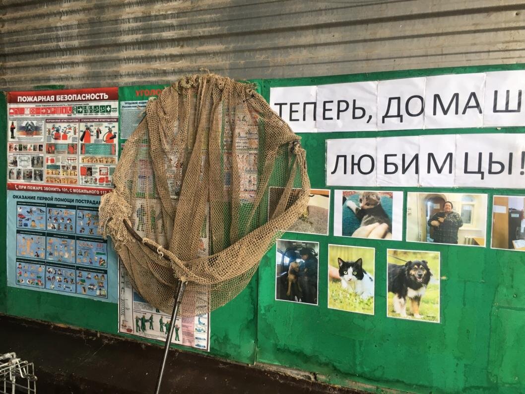 Фото: ИА «Тюменская линия»