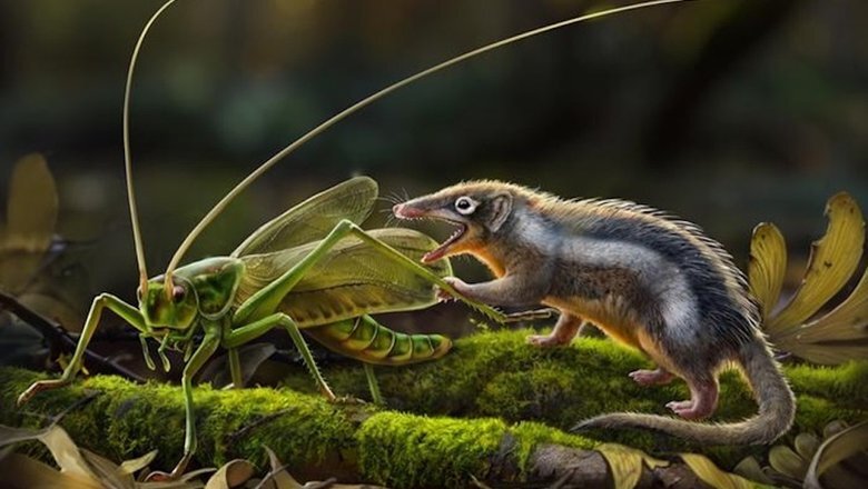 Источник: Chuang Zhao