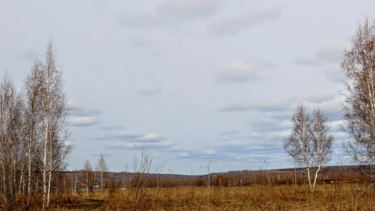 пр. Комсомольский. Роют в поле(дома будут строить) | Екатерина про Кемерово  | Дзен