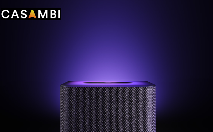Управление голосовым помощником Алиса mesh сетью Casambi