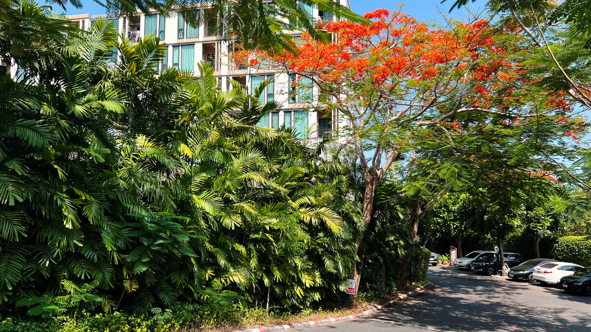 Антураж нашей берлоги