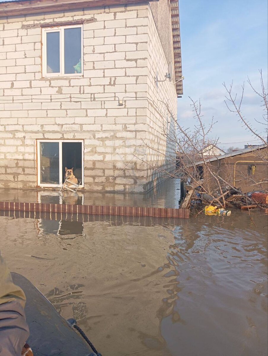 Фото г.Орск