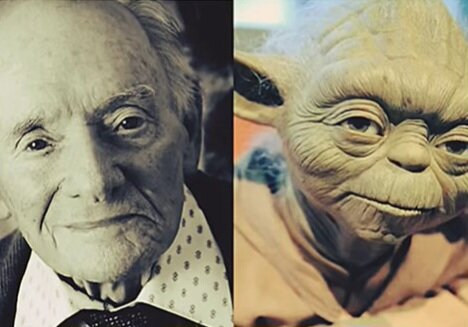 3.	Магистра Йоду могла сыграть обезьяна. Лукас сначала планировал использовать мартышку в маске и с тростью. 
4. В основу образа и мимики мастера Йоды легло лицо и мимика Альберта Эйнштейна.