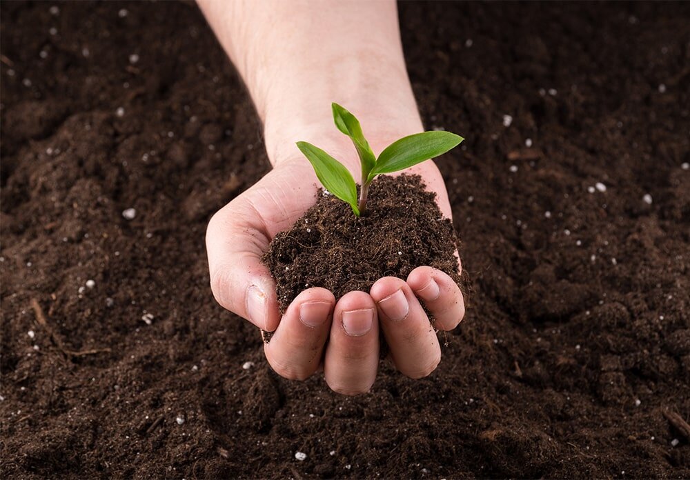 Оглавление