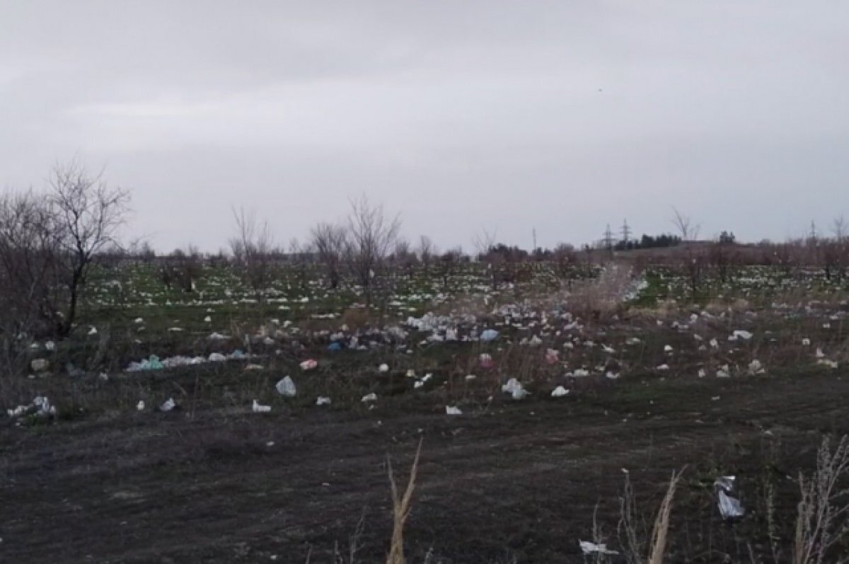    Саратовцы возмутились количеством мусора на поле