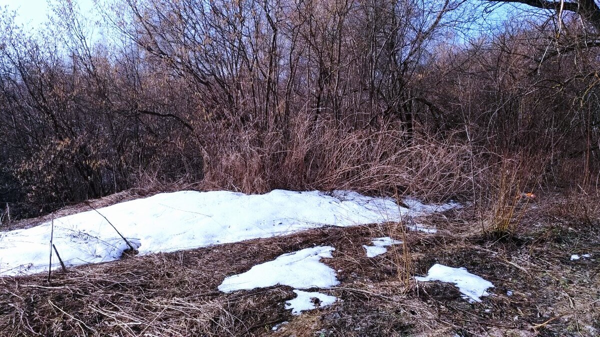 Когда тает снег, он не только увлажняет почву, но и несёт с собой паводки и наводнения.
