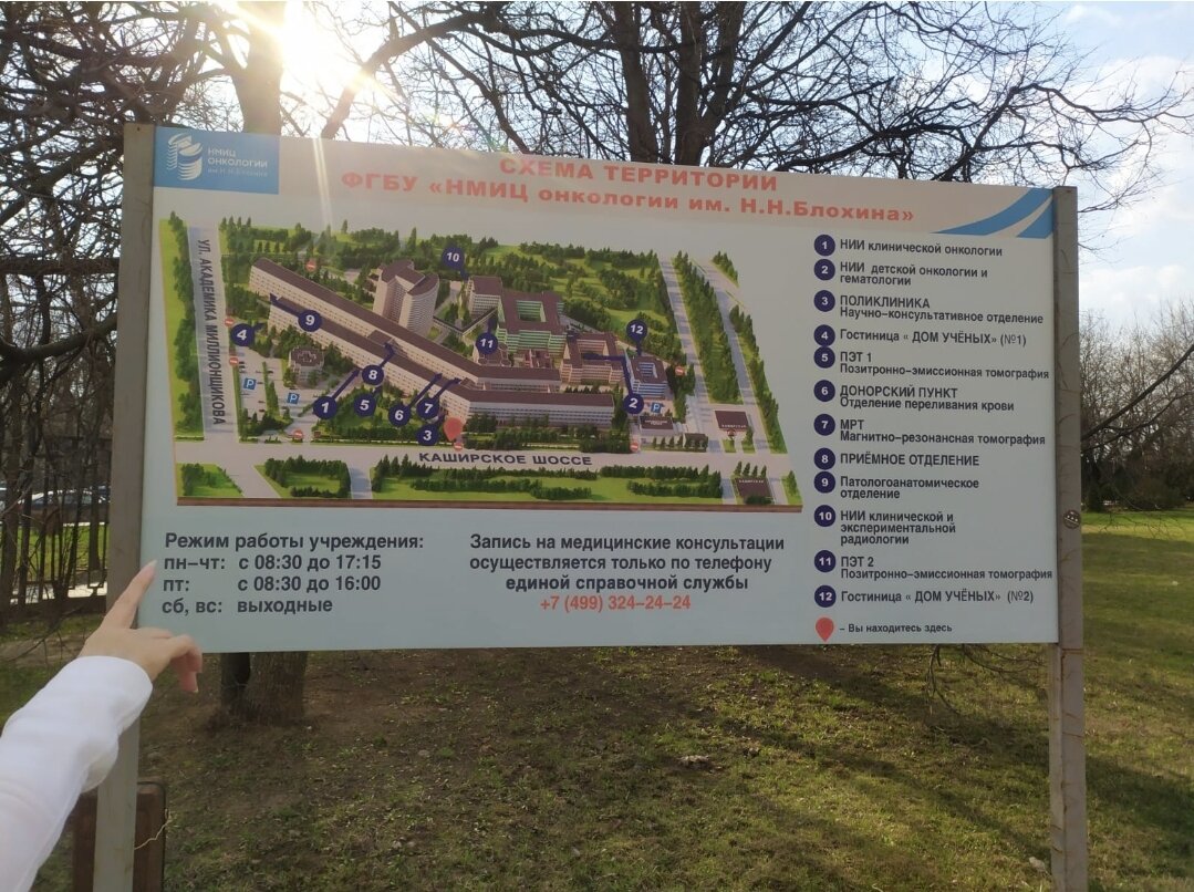 Схема территории.(2023)