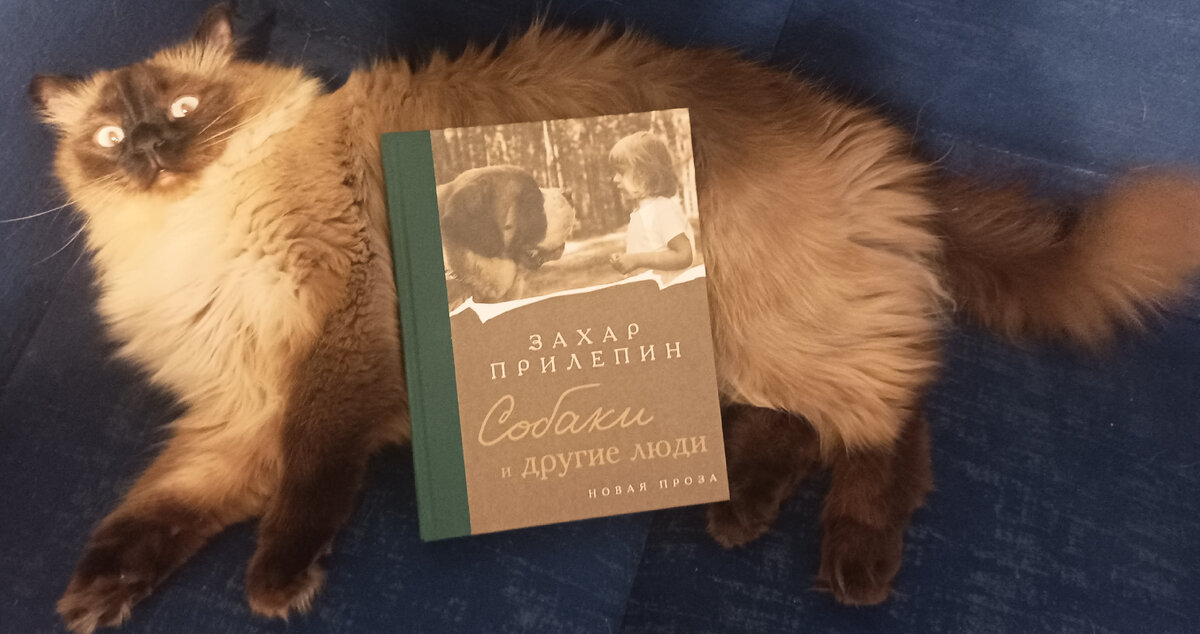 Сегодня книжку представляет Джессика, как минимум, возмущённая тем фактом, что ей приходится представлять книгу о собаках. 🤣