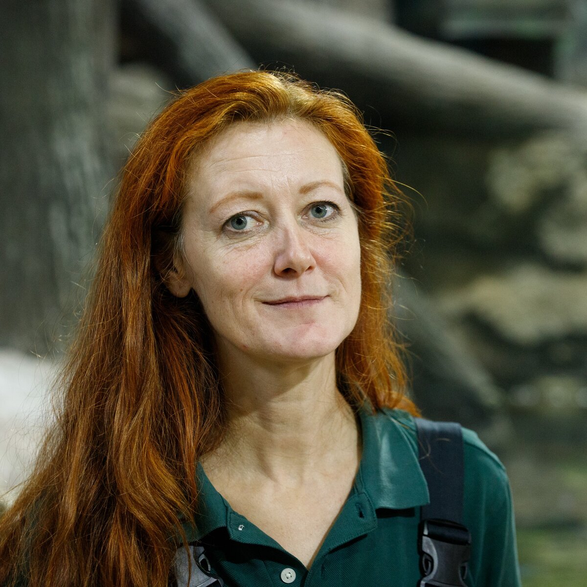 Фото: Андрей Ремизов/Тульская служба новостей