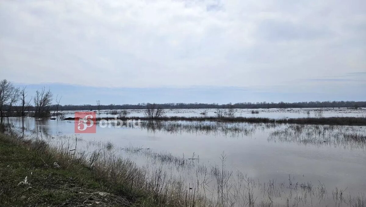 Аквапарк имени Пушкина: в Бузулуке река затопила новое общественное  пространство | 56orb.ru | Дзен