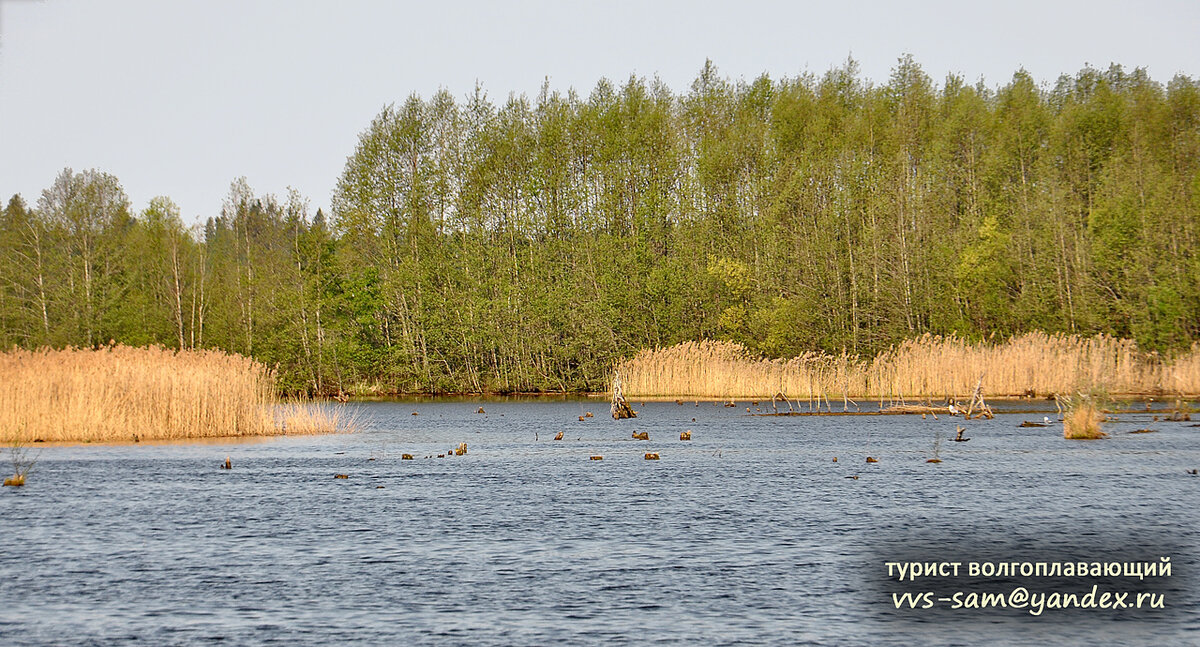 Фото 22.05.2014.