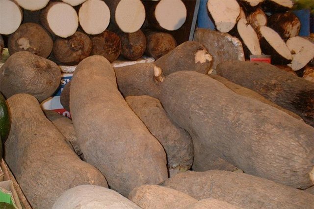    Что такое ямс и чем он полезен?