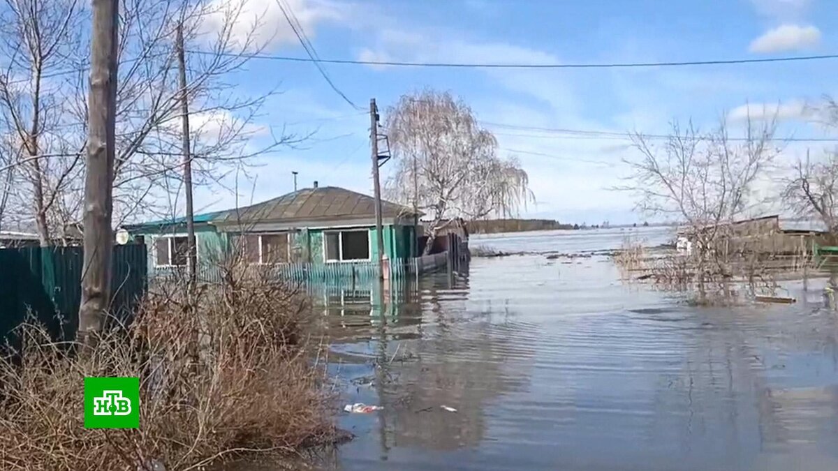 [ Смотреть видео на сайте НТВ ] В Курганской области в срочном порядке возводят новые заграждения. Тобол всё разливается, пик ожидается нескоро.