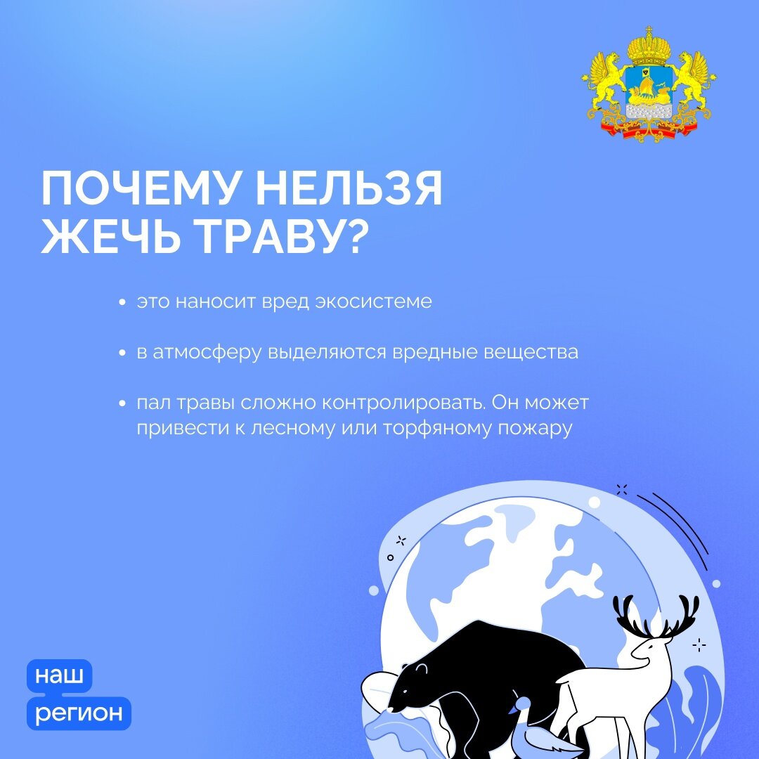 Установилась сухая погода и вновь начались пожары | Костромская область |  Дзен