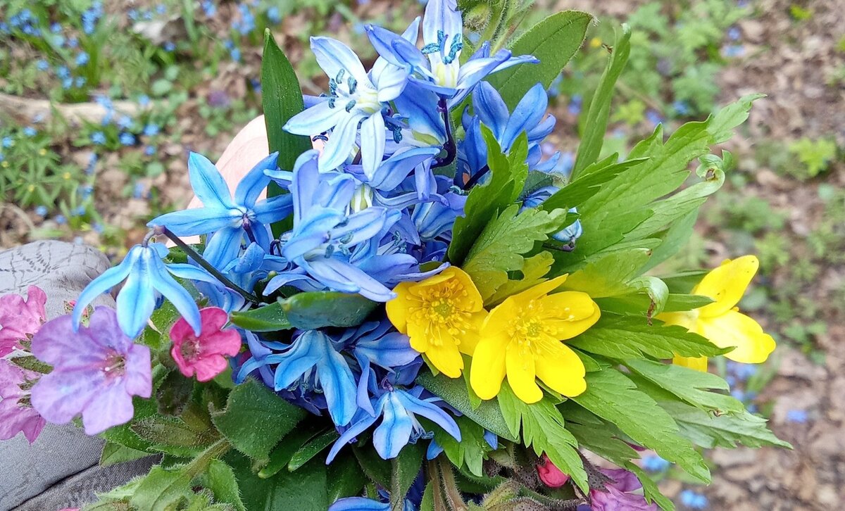 Люблю гулять