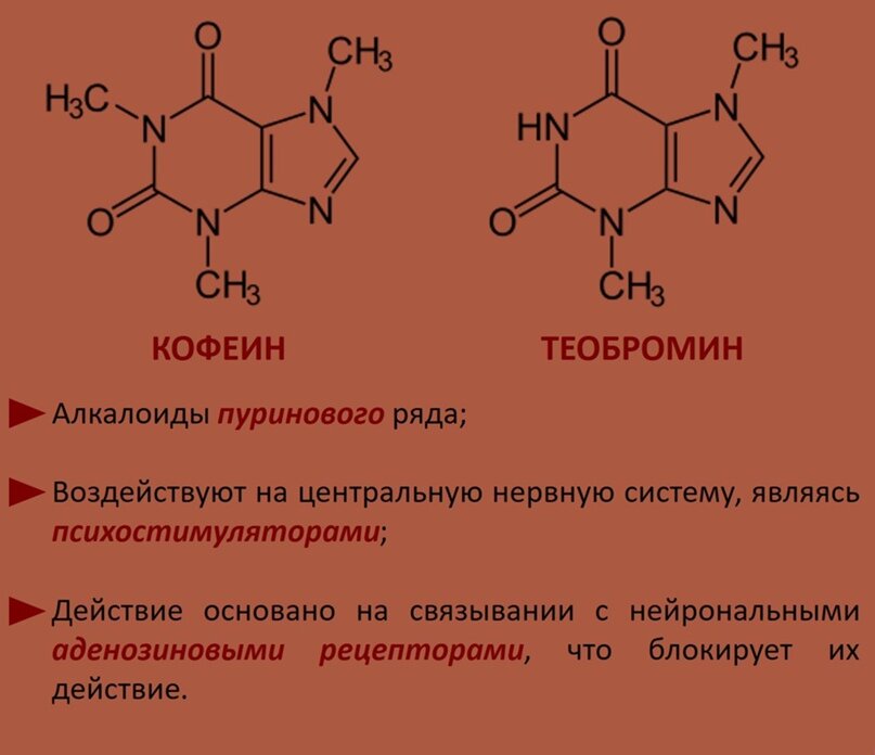 Кофеин лекарственная форма. Кофеин и теобромин. Химический состав кофеина. Строение кофеина. Кофеин структура.