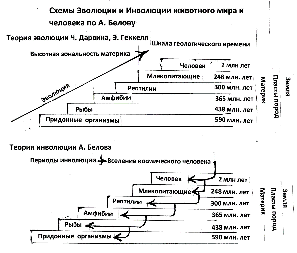 Сочетание процессов эволюции и инволюции