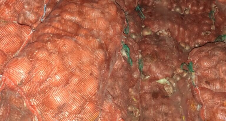    Лук, орехи и сухофрукты без маркировки. В Оренбуржье не пропустили более 60 тонн продукции Кристина Просвиркина