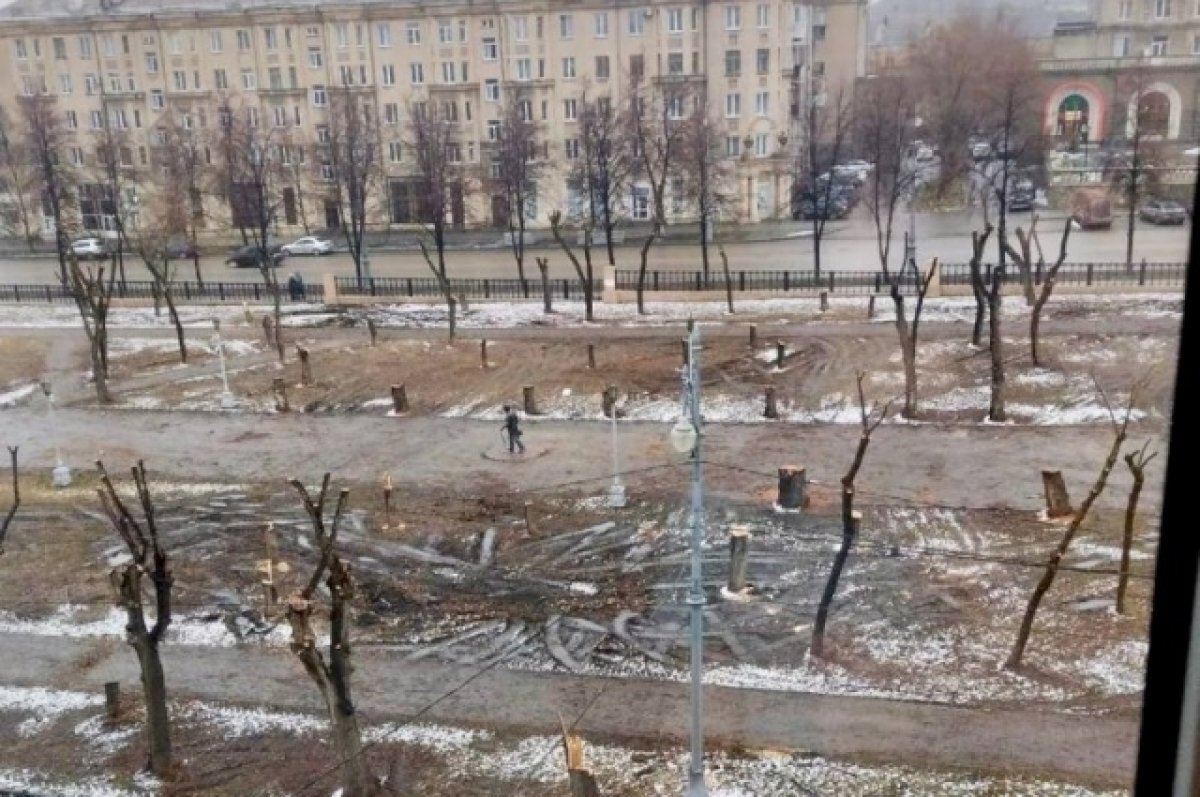    Людей шокировала массовая вырубка деревьев в Магнитогорске