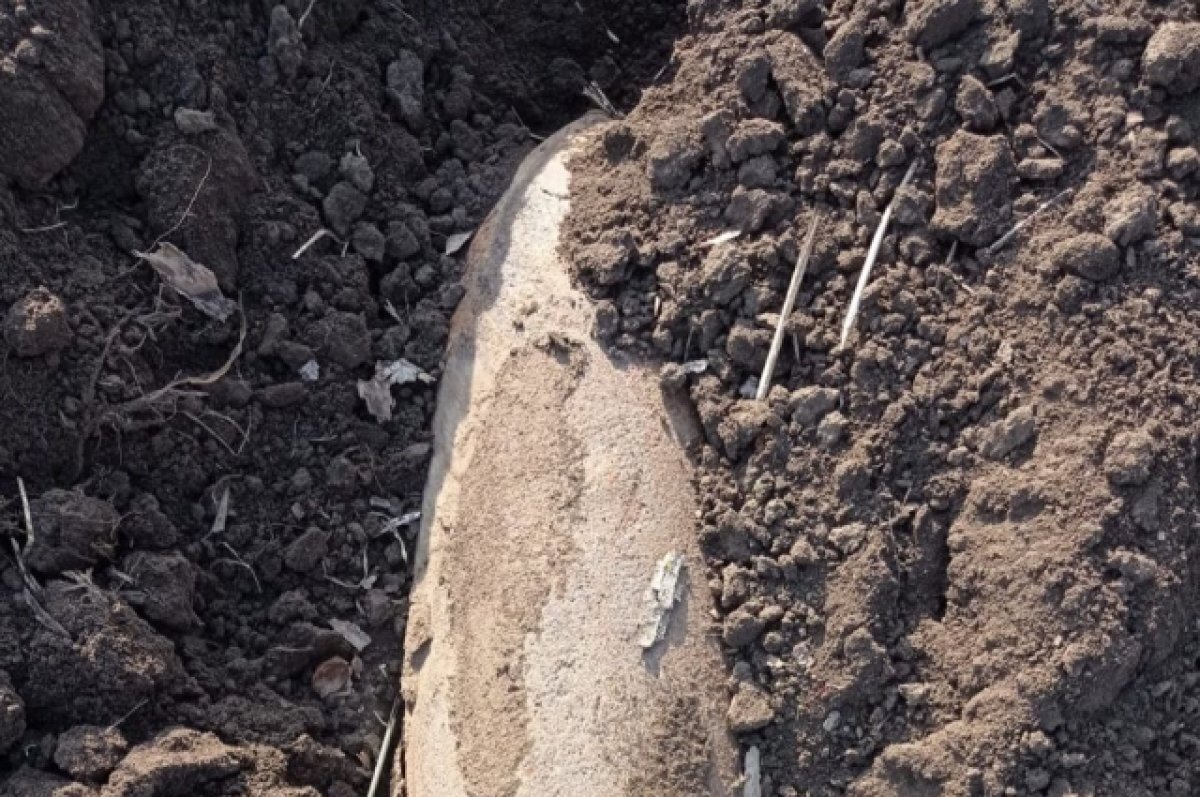    Раритетную авиабомбу обезвредили взрывотехники под Волгоградом