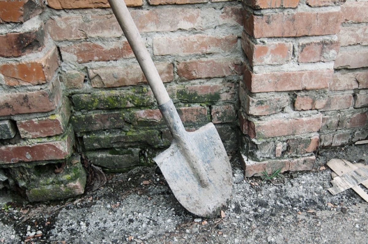    Эксперт: Правильный уход за садовым инвентарём увеличит срок его работы