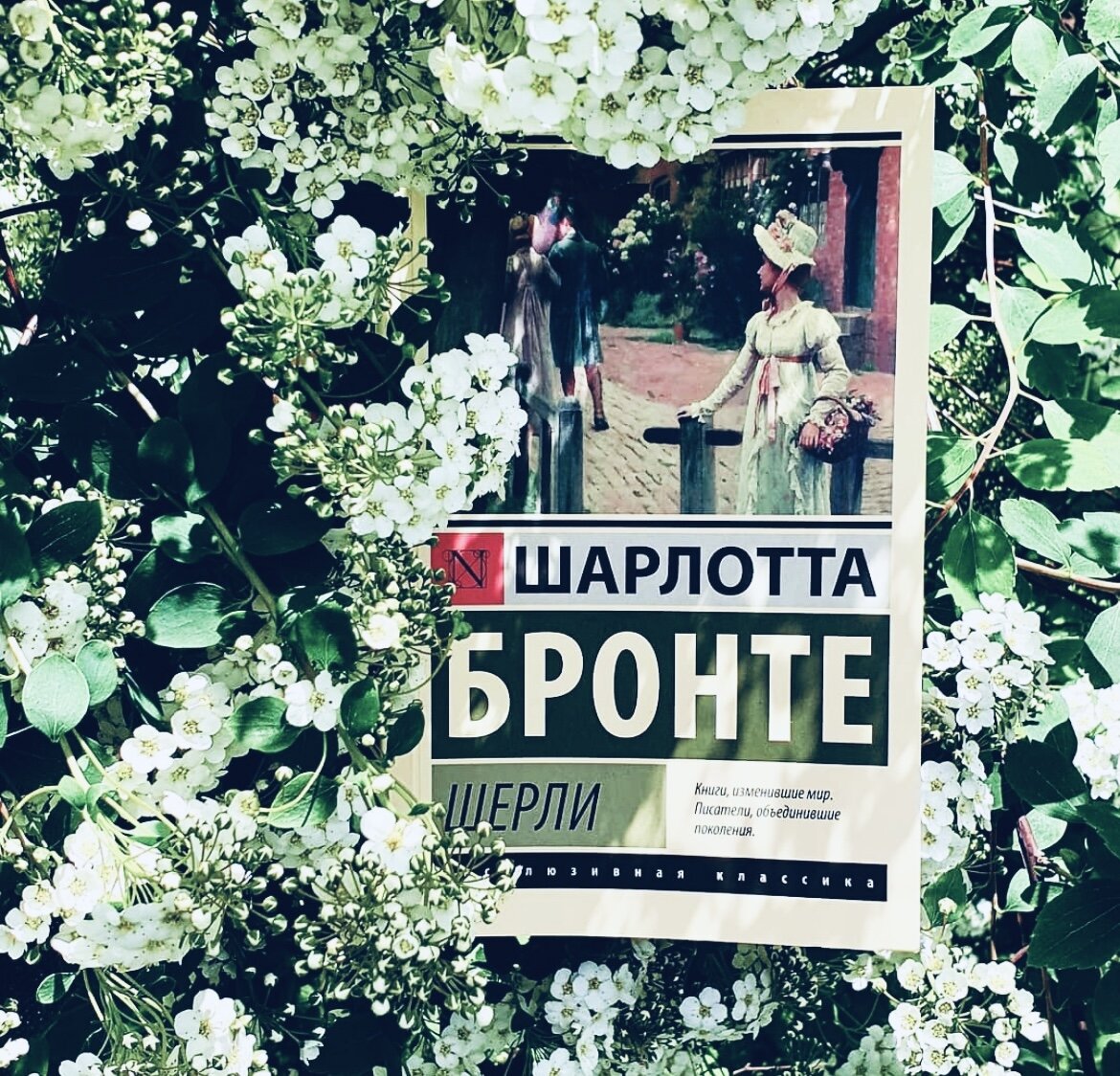 Шарлотта Бронте и Джейн Эйр | Дом, где живут книги | Дзен