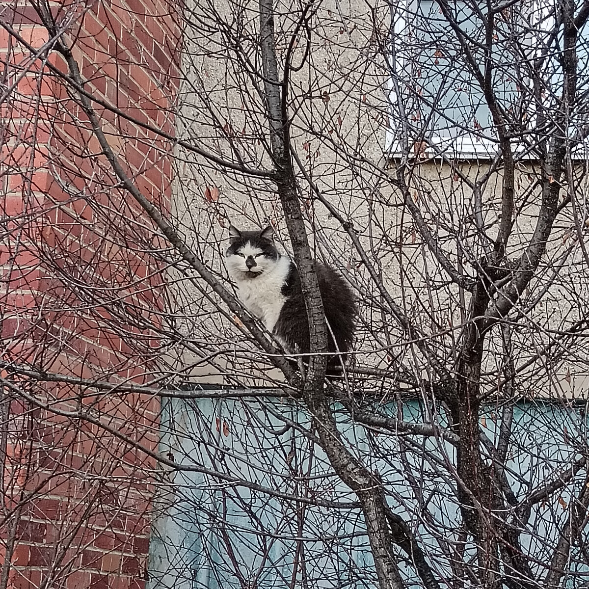 Этого или эту увидели первой)