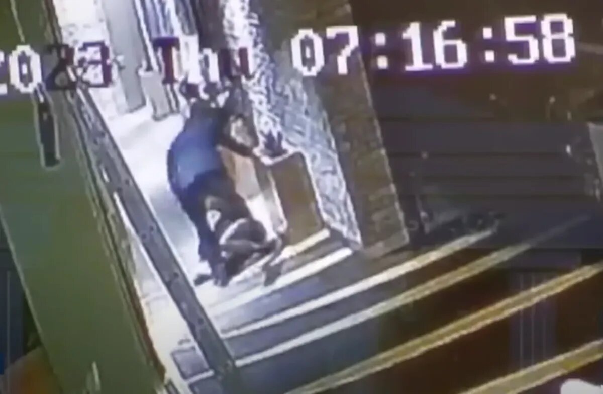 Видео где избивают салтанат нукенову. Видео где избивают салтанат нукенову. Видео где избивают салтанат нукенову. Тело салтанат нукеновой. Избитая салтанат нукенова.