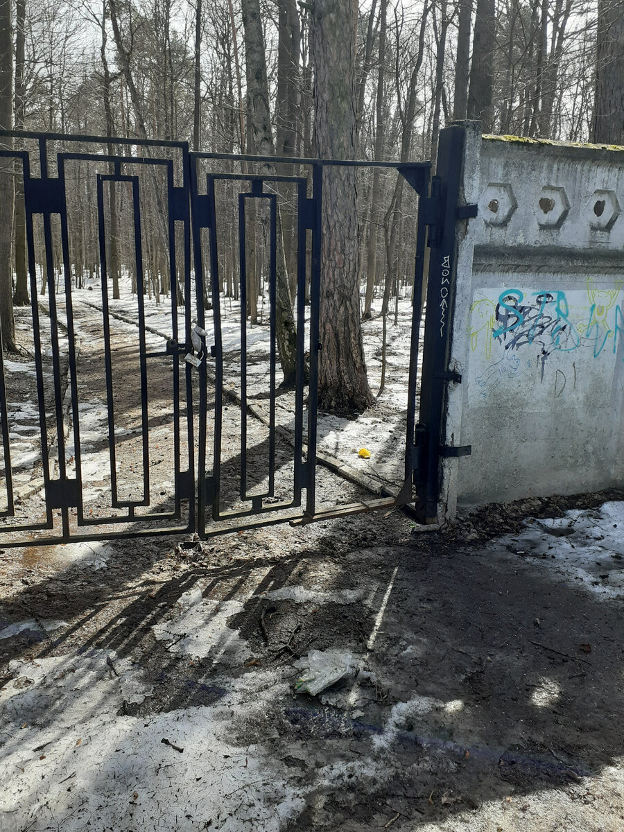 Фотография автора