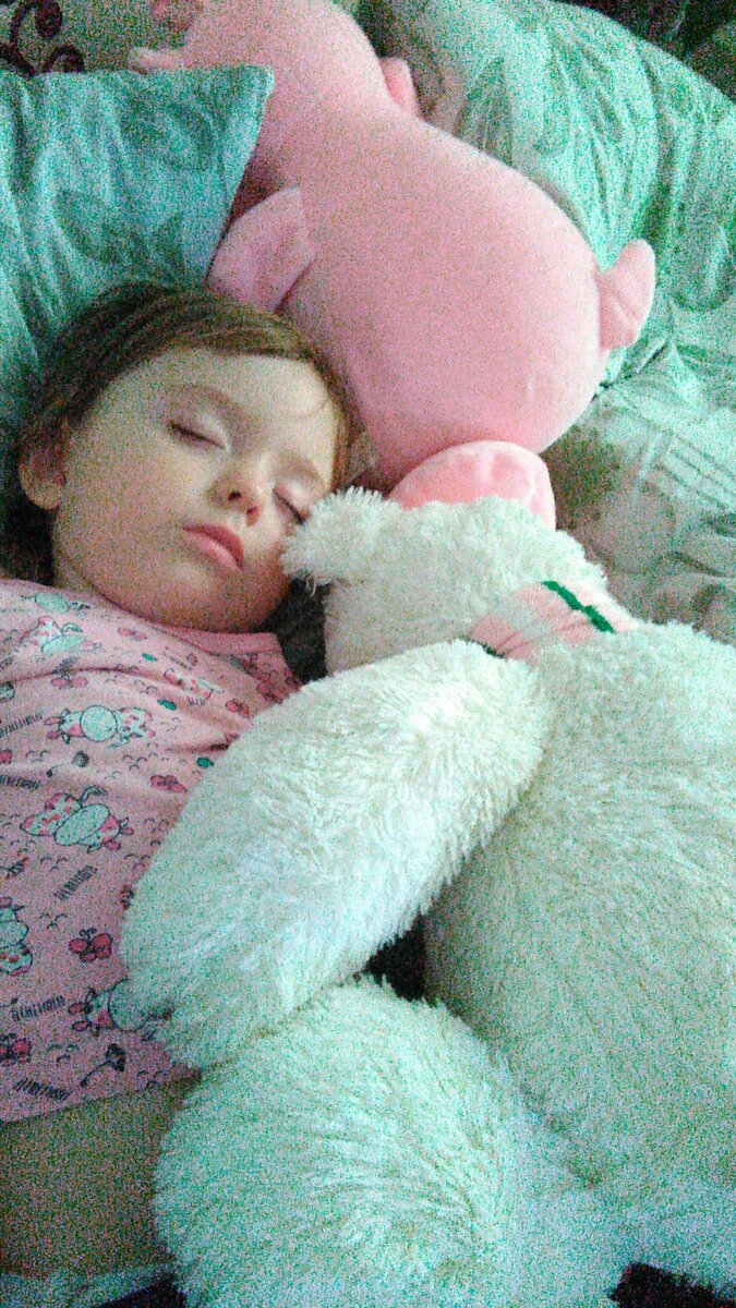 Катюша спит. Фото от 19 декабря 2020 г