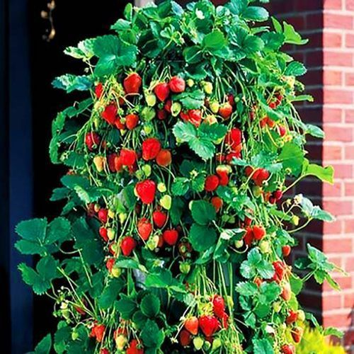 такое не получится! 