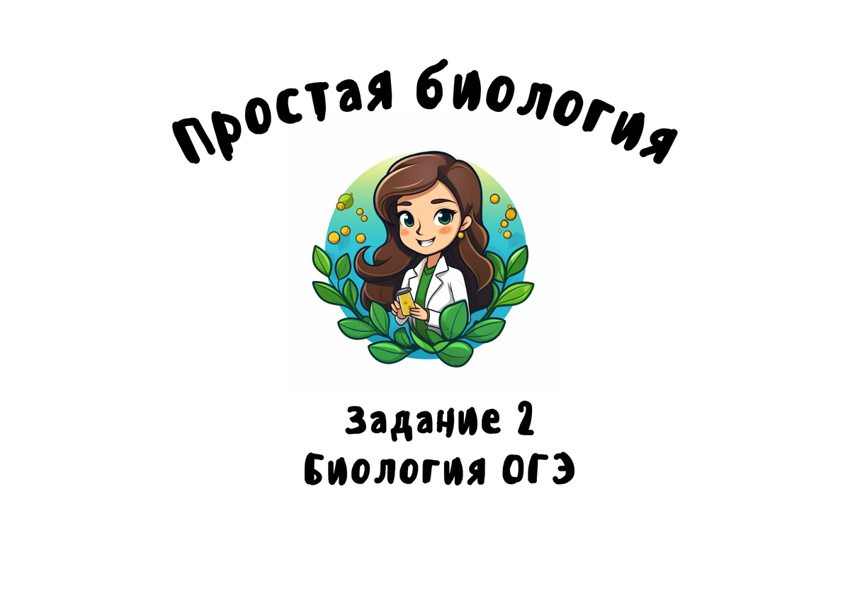 Подготовка к ОГЭ по биологии. Задание №2. Шпоргалка. Примеры заданий |  Простая биология | Дзен