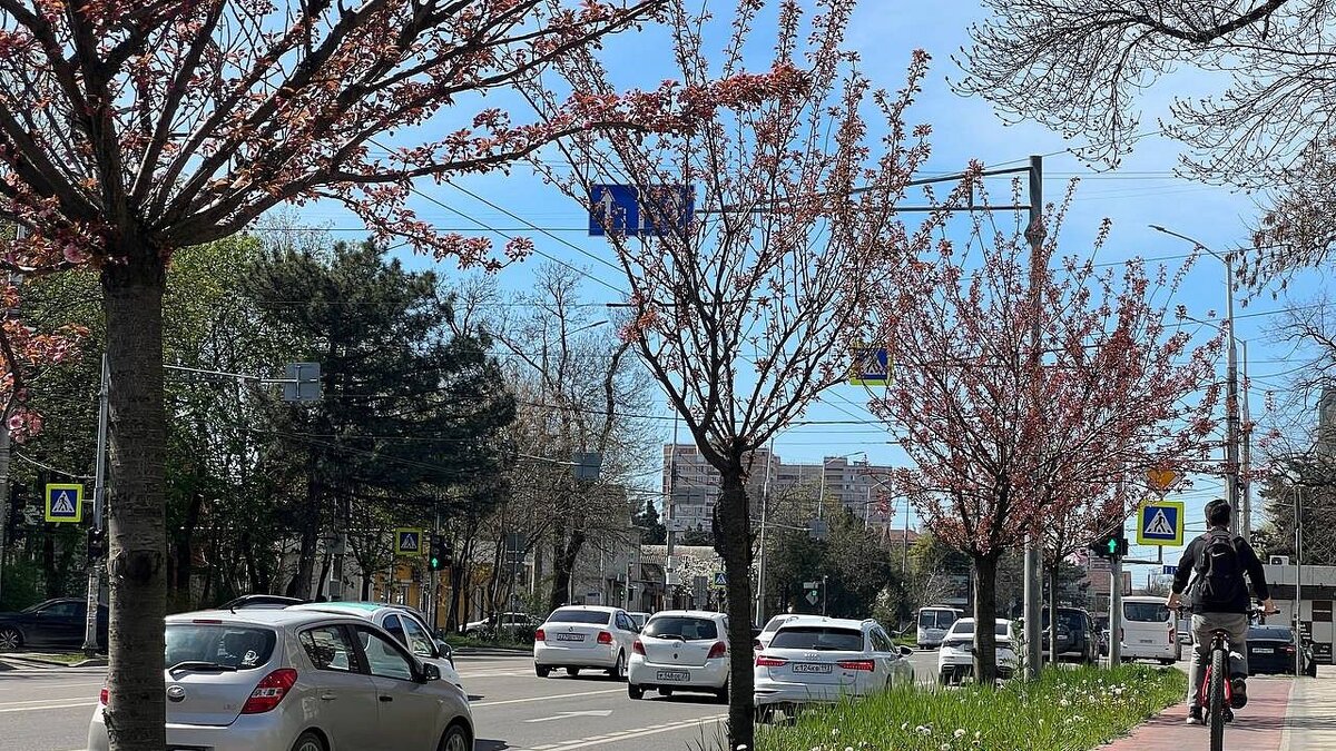    К концу рабочей недели в Краснодаре стихнет ветер, а температура немного упадет. Фото: телеканал «Краснодар»