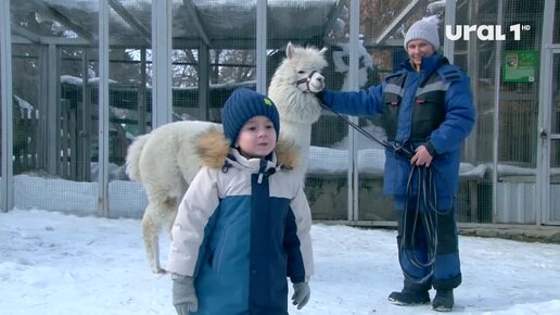 Ребенок с редким заболеванием может стать самым юным корреспондентом