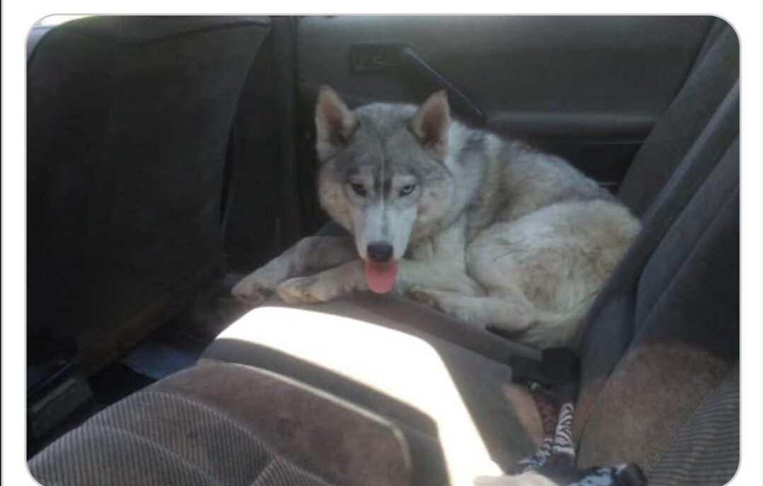 Материал нашла в интернете,автора выяснить не удалось 