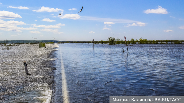     Фото: Михаил Калянов/URA.RU/ТАСС   
 Текст: Андрей Резчиков